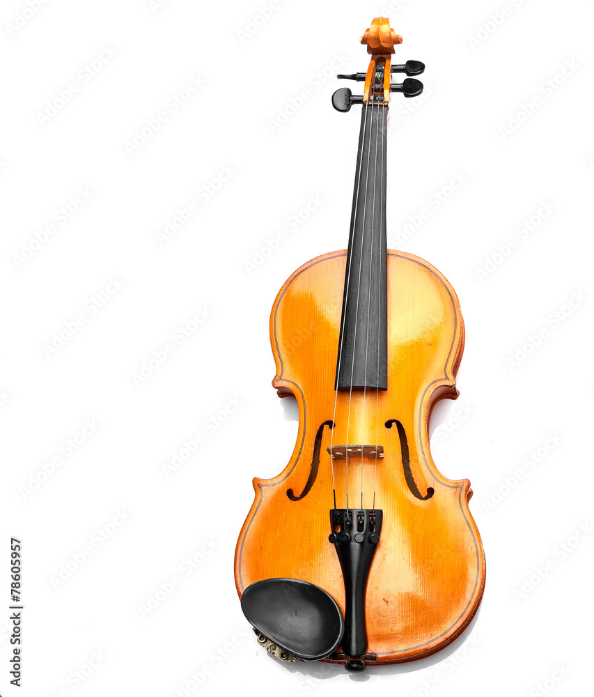 Fototapeta premium violin on white background