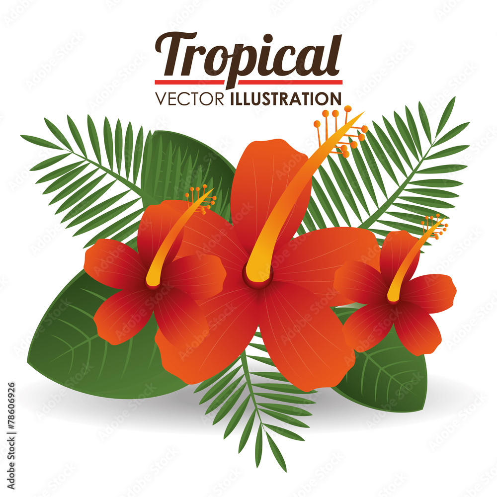Obraz premium Flowers design, vector illustration.