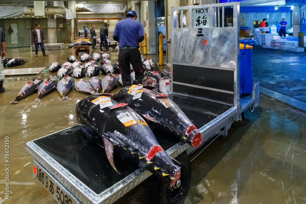 Fototapeta premium Tuna auction at Osaka Central Wholesale Market