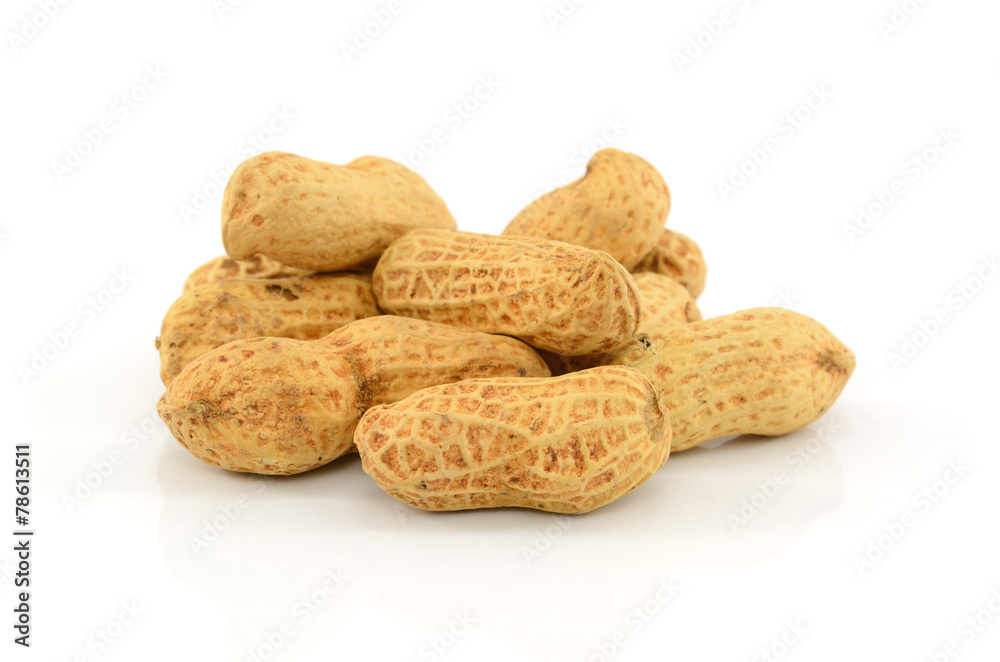 Dried peanuts in closeup on white background Dried peanuts in closeup on white background
