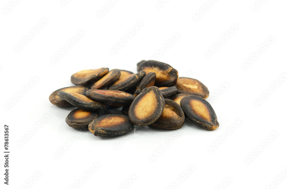 dry watermelon seed on white background
