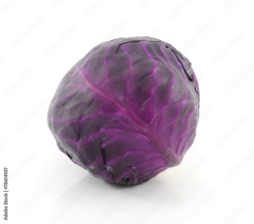 cabbage isolated on white background