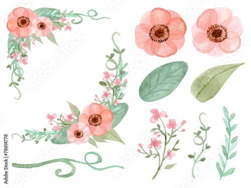 Set of flowers and leaves vector