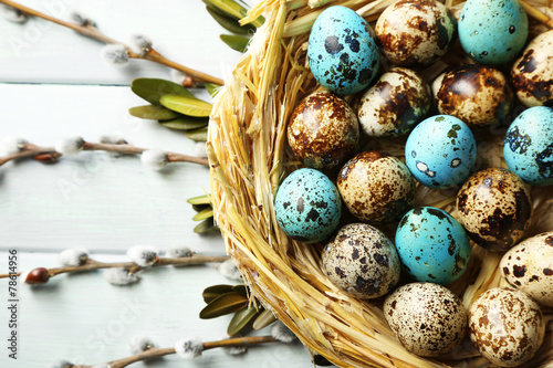 Bird eggs in nest on color wooden background