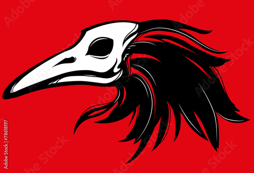 raven skull beak