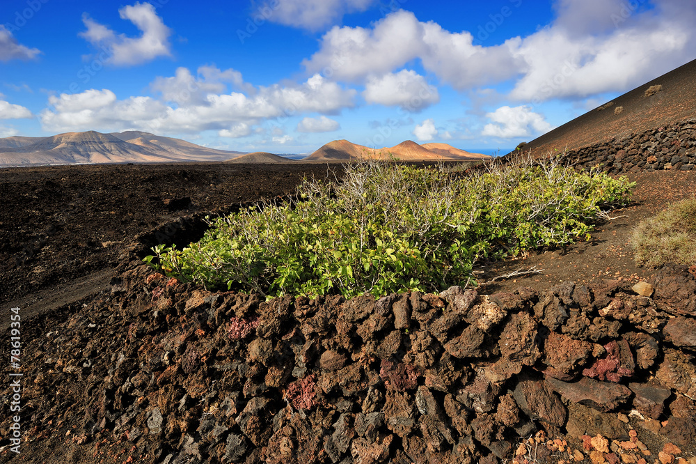 volcanic mountains at Lanzarote Island, Canary Islands, Spain
