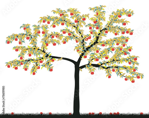 Apple tree
