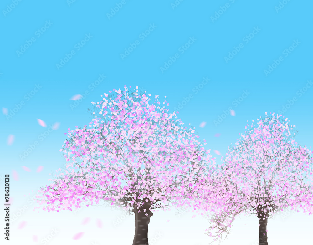 Obraz premium 花見