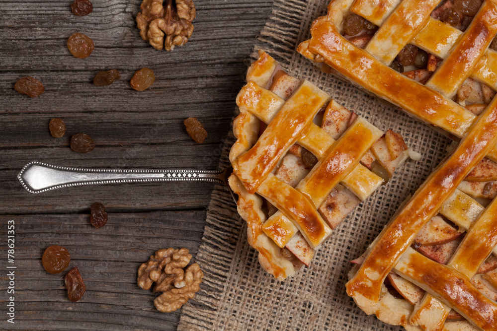 A piece of sliced apple pie with cinnamon on metal spatula A piece of sliced apple pie with cinnamon on metal spatula