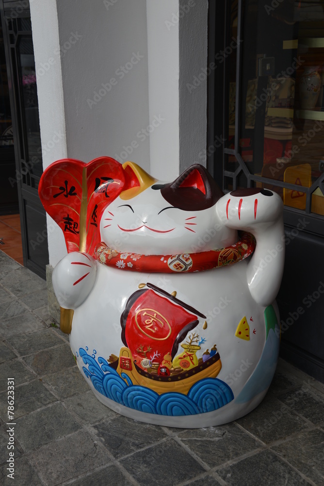 Obraz premium Happy cat in Hong Kong, China