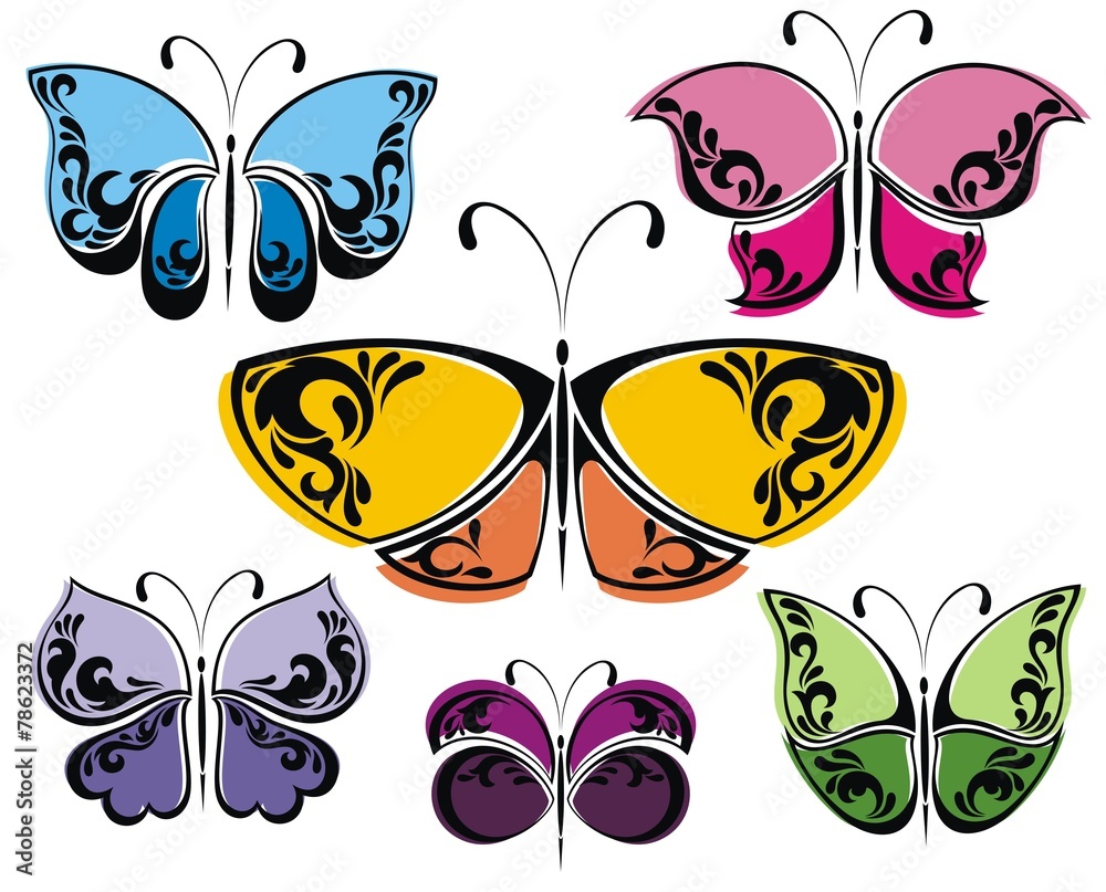 Collection of different butterflies