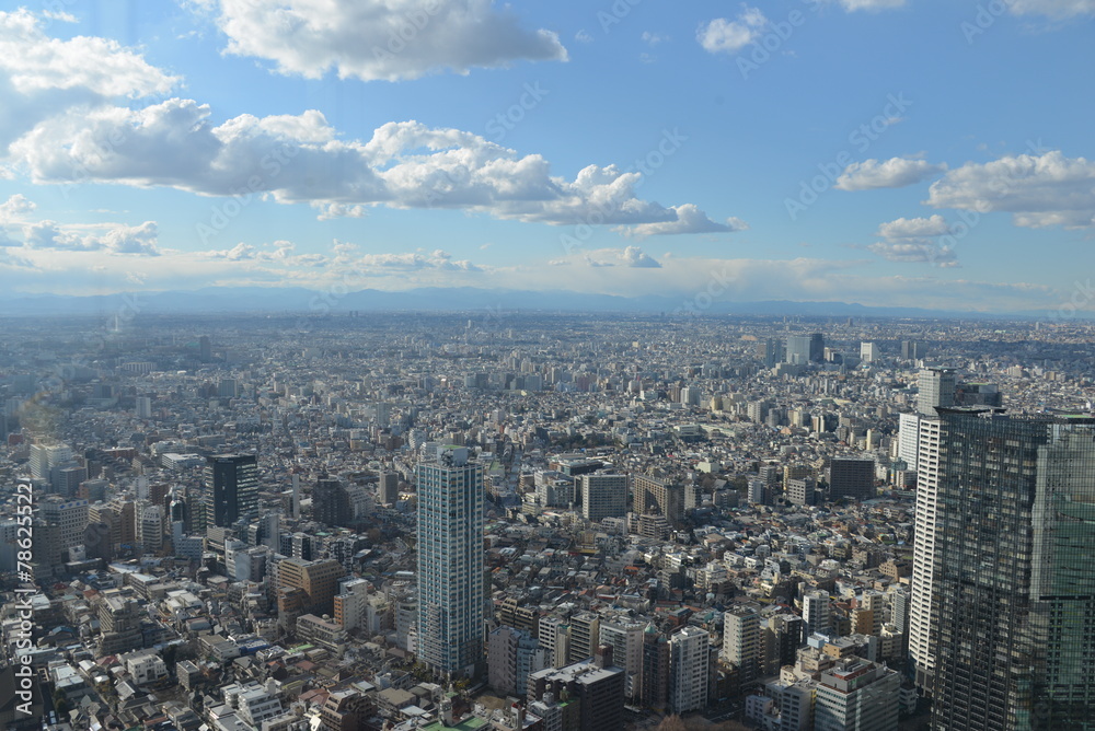 View over Tokio, Japan