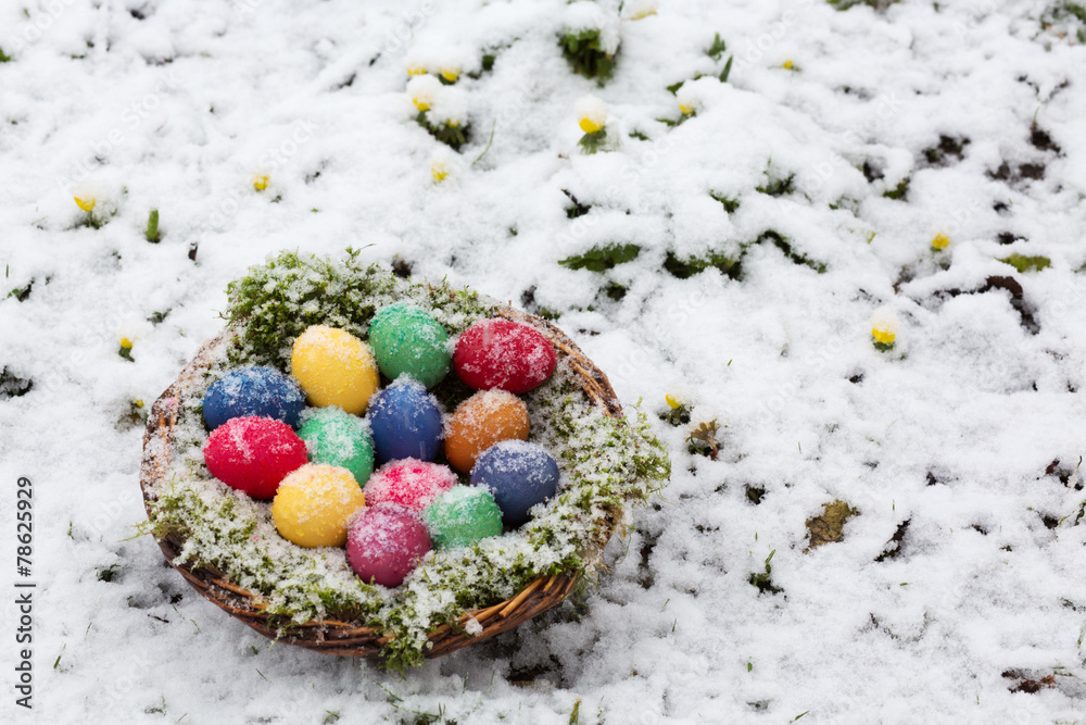 Fototapeta premium Colored eggs in a basket in snow