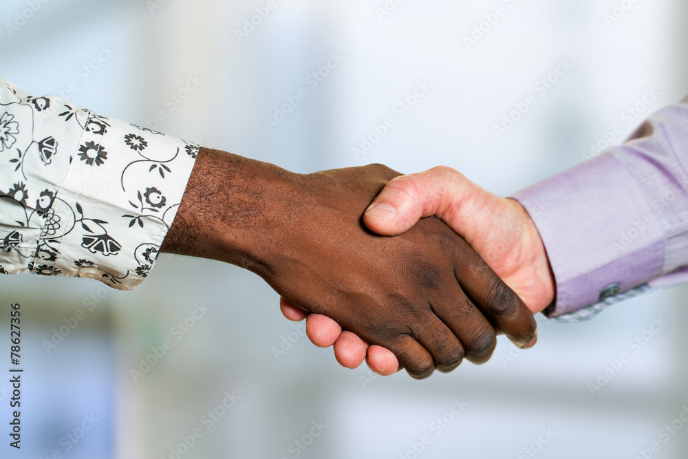 Detail of diverse business handshake. Detail of diverse business handshake.
