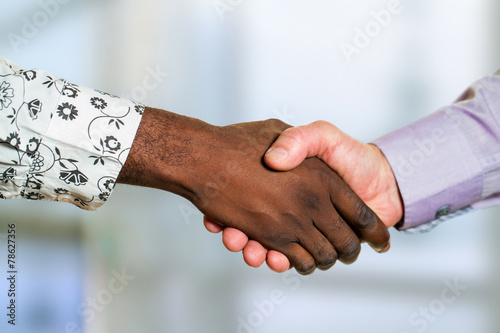Detail of diverse business handshake.