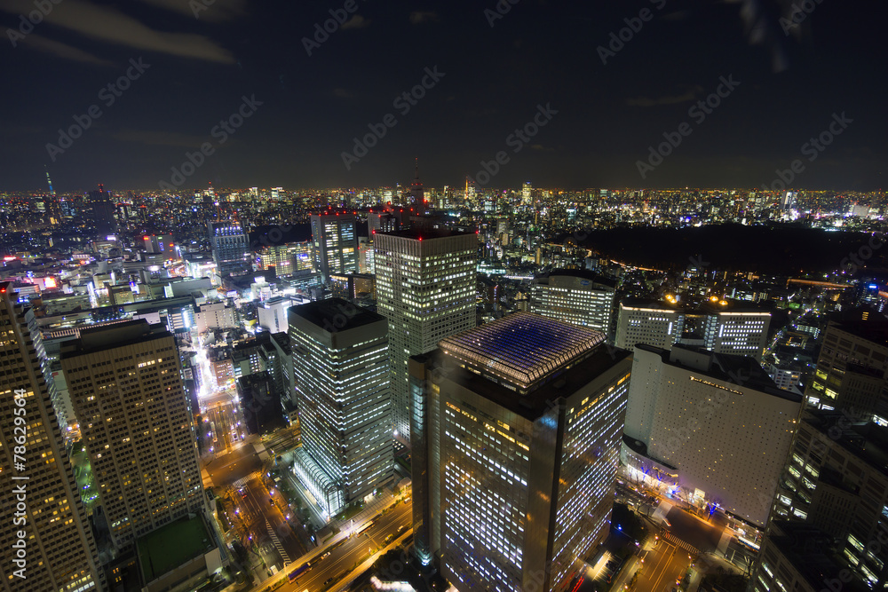 大都会東京イメージ　新宿高層ビル街から望む東京全景　東京タワーと東京スカイツリーを同時に望む