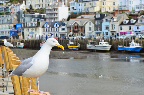 Seagull in a typically British seaside town setting