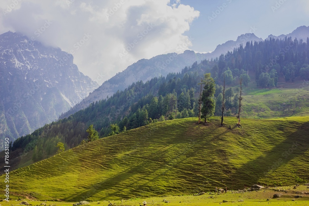 Valley at Sonamarg, Kashmir, India on sunny day