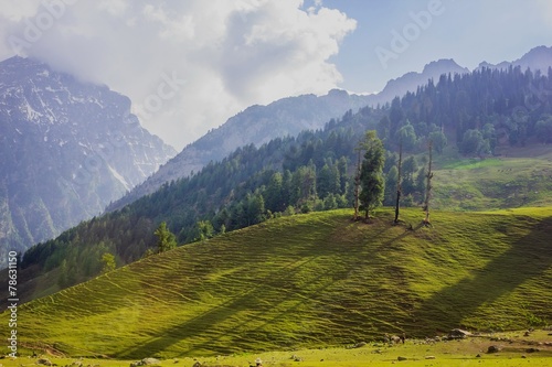 Valley at Sonamarg, Kashmir, India on sunny day © khlongwangchao