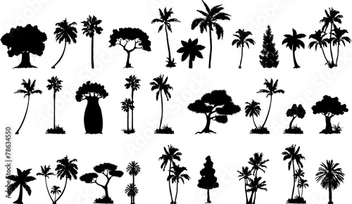 various vector trees silhouettes for you design
