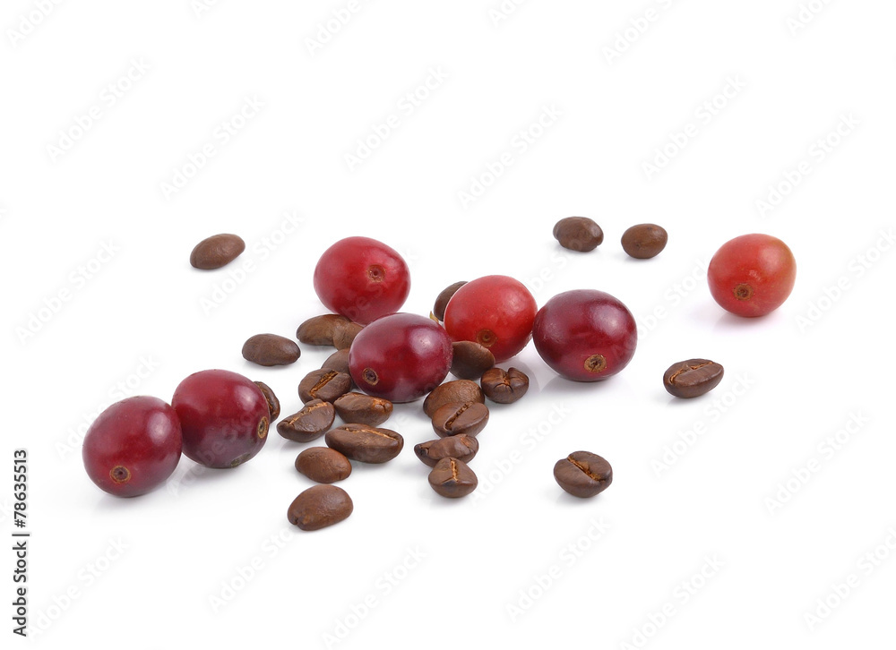 coffee beans on white background.