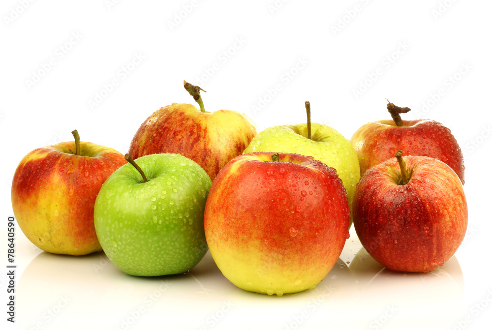 assorted Dutch apple cultivars on a white background assorted Dutch apple cultivars on a white background