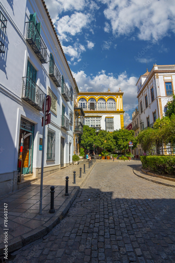 beautiful streets full of typical color of the Andalusian city o