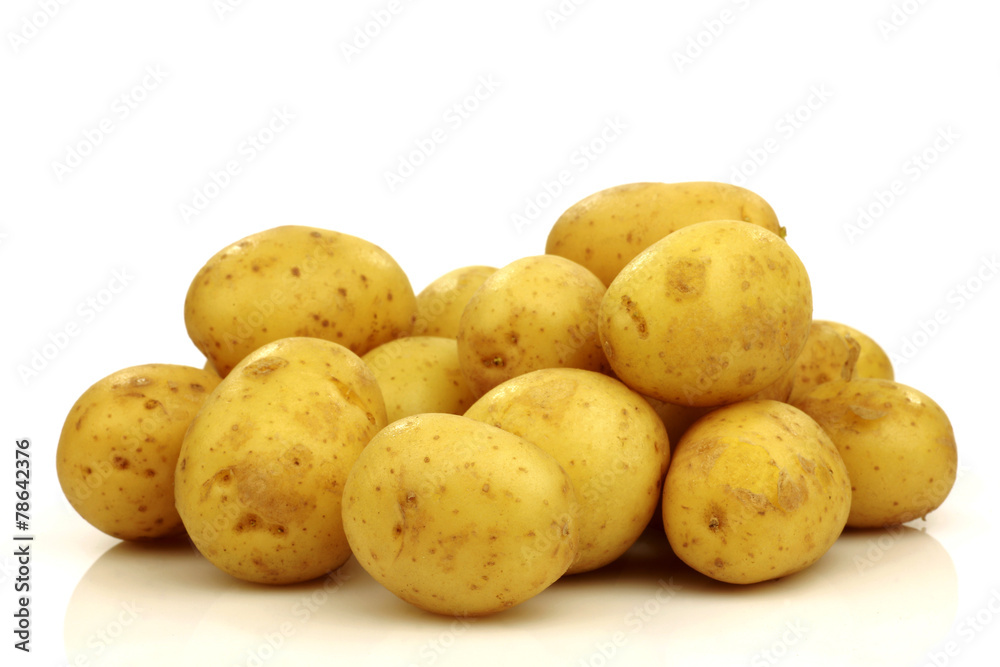 bunch of small potatoes on a white background bunch of small potatoes on a white background