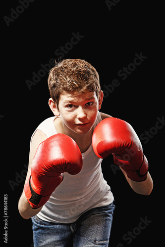 Boxer © lighthousestock