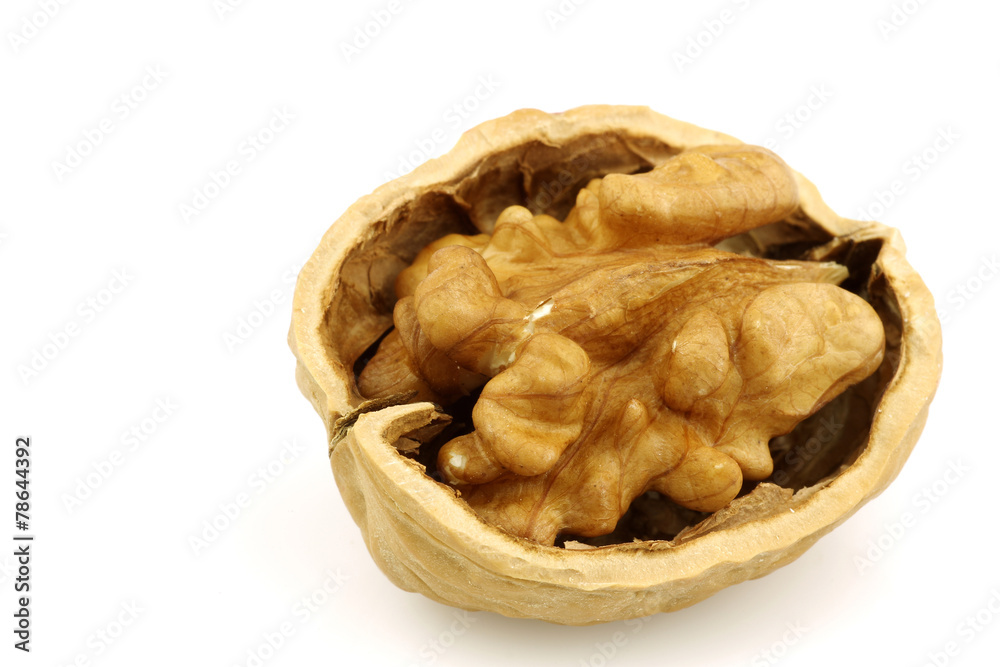 one opened walnut half on a white background one opened walnut half on a white background