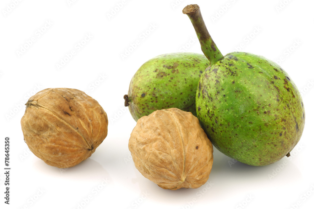 fresh walnuts (Juglans regia) on a white background fresh walnuts (Juglans regia) on a white background