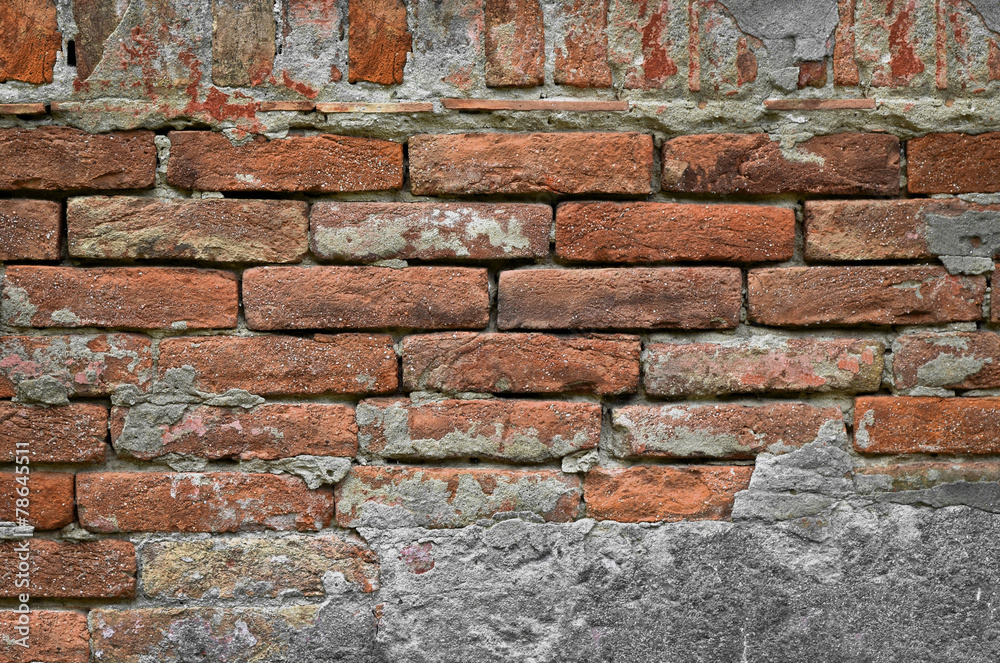 Obraz premium texture brick wall