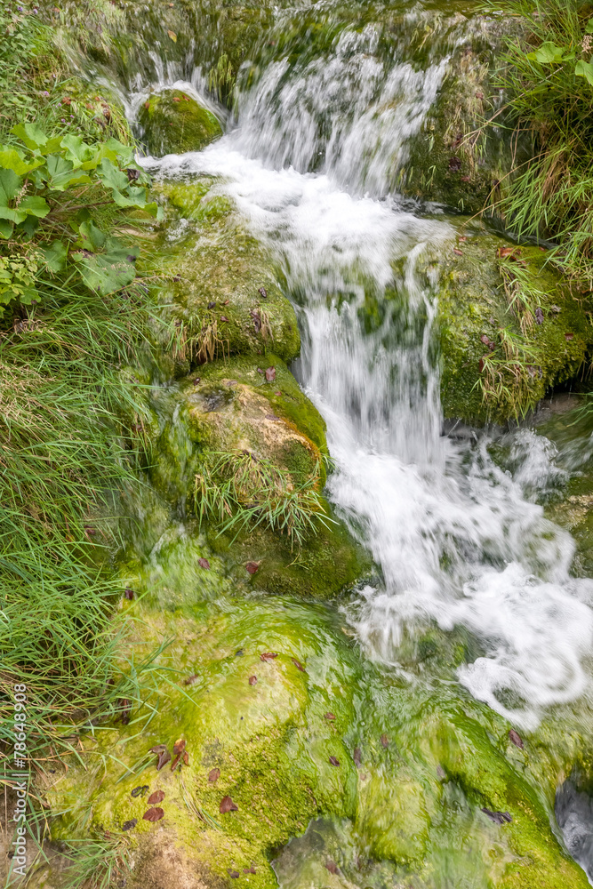 Naklejka premium Plitvice lakes of Croatia