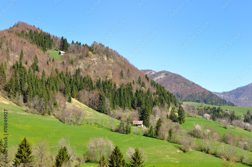 Naklejka premium paysage vallée de la Chartreuse
