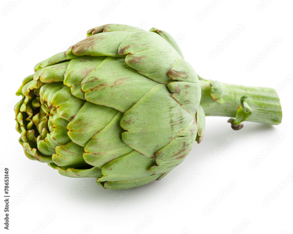 Obraz premium artichoke