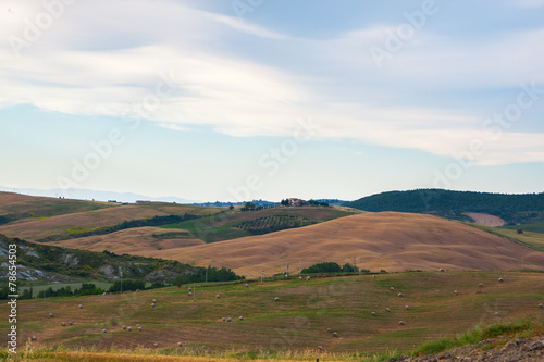 Landscape panorama, hills and meadow