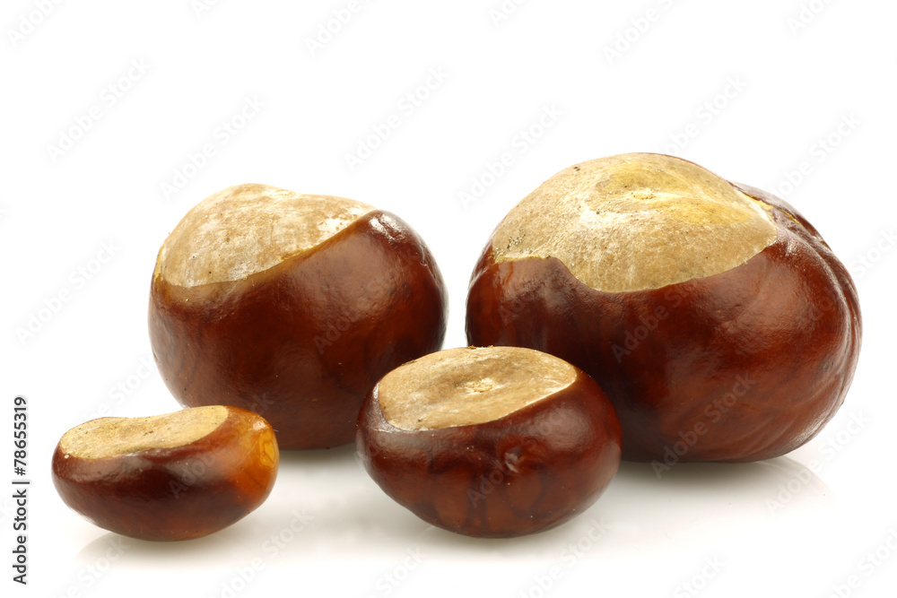 bunch of chestnuts on a white background