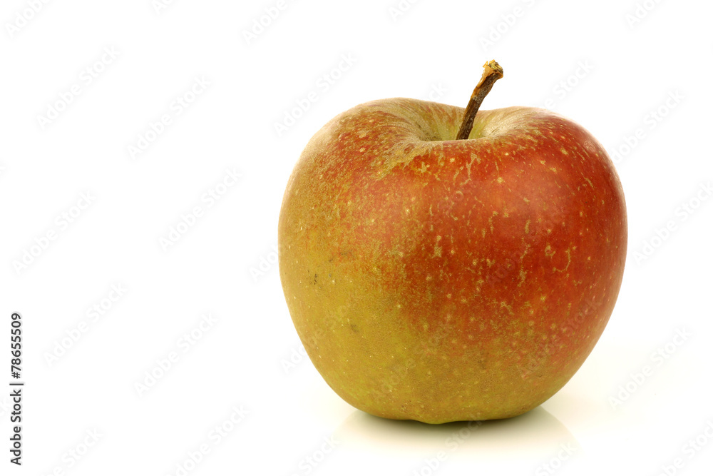 Traditional Dutch apple called 
