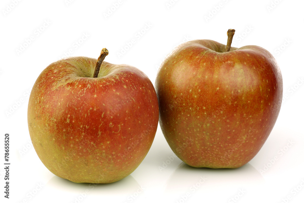 Traditional Dutch apples called Traditional Dutch apples called