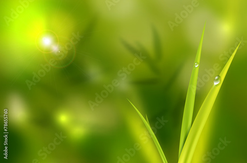 Abstract natural background with grass and waterdrops