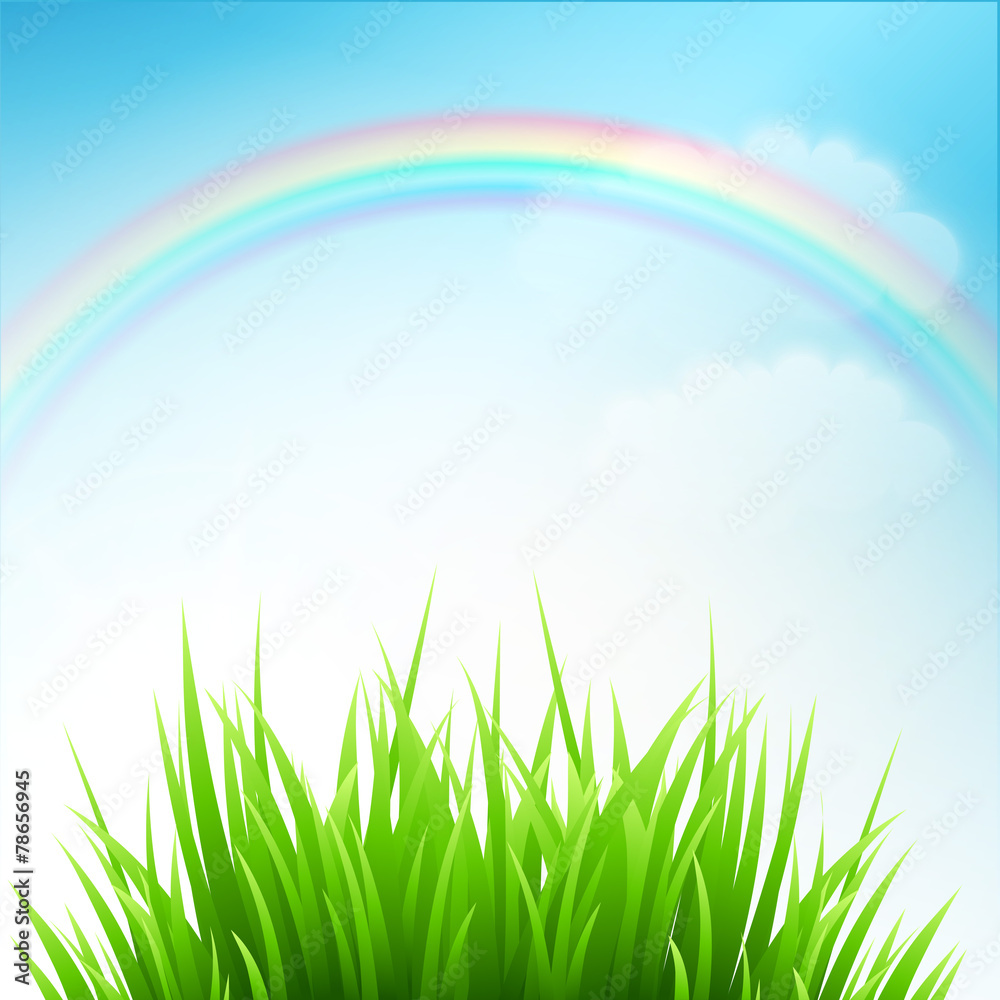 Clean spring amazing scenery. Vector illustration Clean spring amazing scenery. Vector illustration