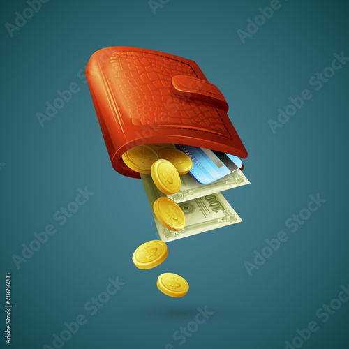 Purse with money, credit cards and coins. Vector illustration
