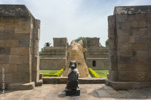 The two Nandi statues at Gangaikunda Temple. photo