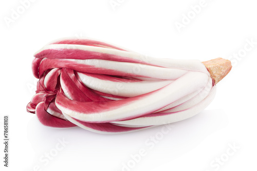 Radicchio, red Treviso chicory isolated on white, clipping path
