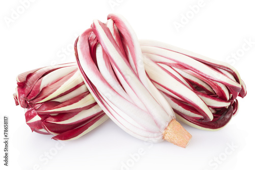 Radicchio, red chicory group on white, clipping path