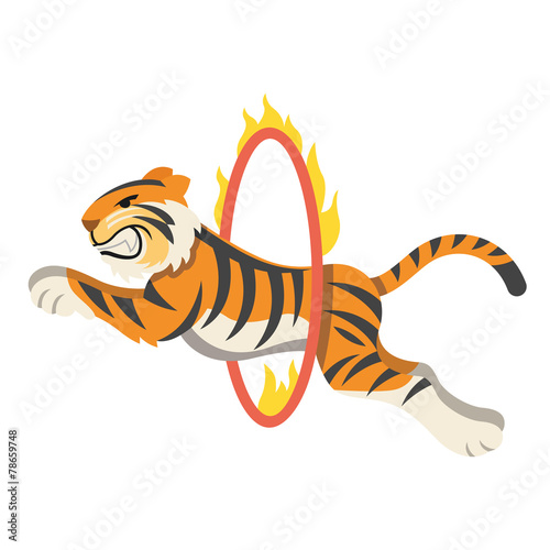 Circus tiger jumping through flaming hoop