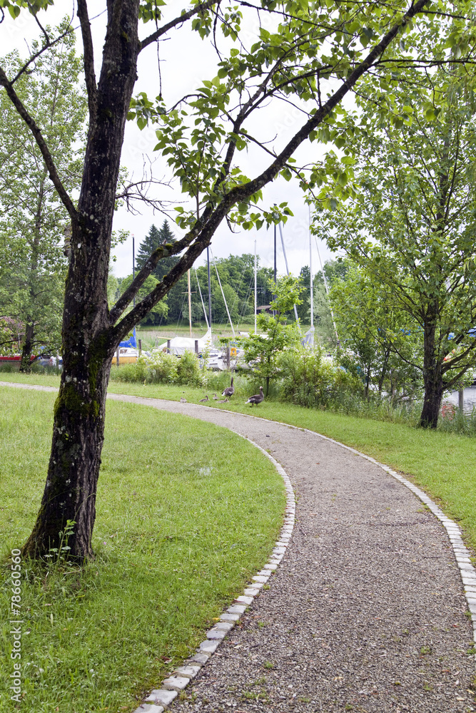 Obraz premium Weg in einem Park mit Gänse