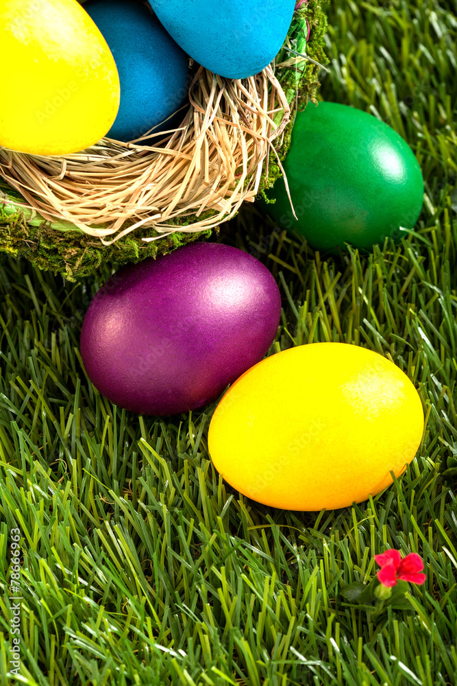 Easter eggs in a nest - easter decoration