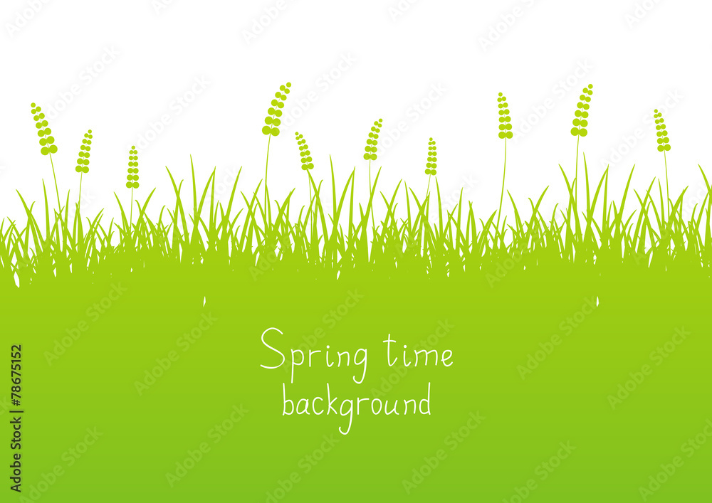 Green spring background with place for text - obrazy, fototapety, plakaty 