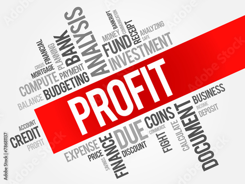 PROFIT word cloud, business concept